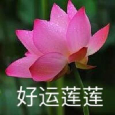 天天约三国破解版下载