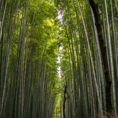 纪念碑谷2九游版本下载